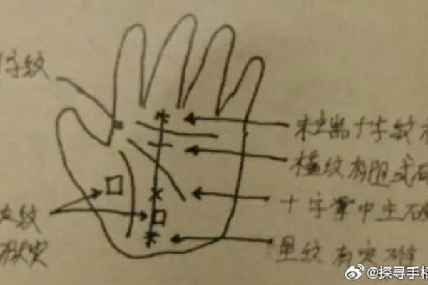 智慧线分叉的命运解析：你安全吗？