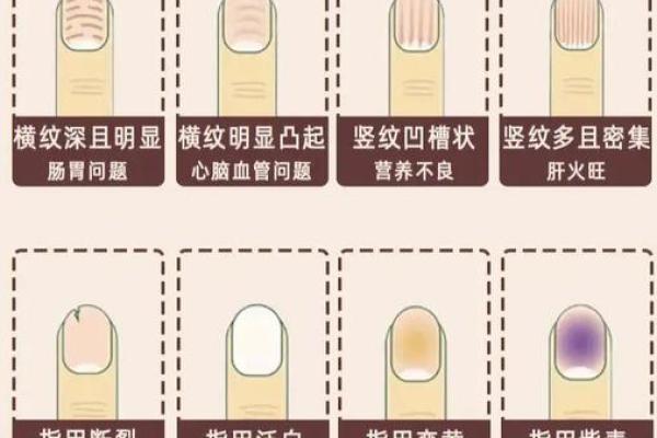 长指甲烂的人命运解析：你不知道的手相秘密