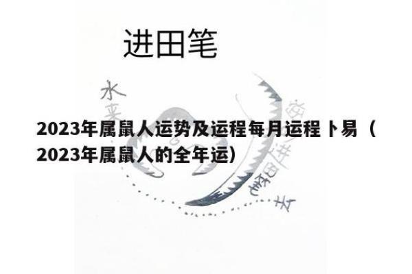 揭秘命局与好运的关系：如何利用命理改善运势
