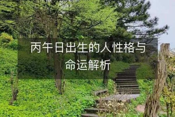 14号出生的人：命运与个性的深刻解析