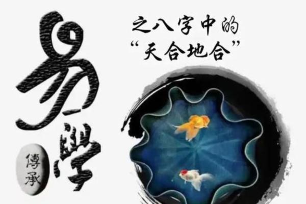 探秘易经命理：卦爻之美与智慧的交融