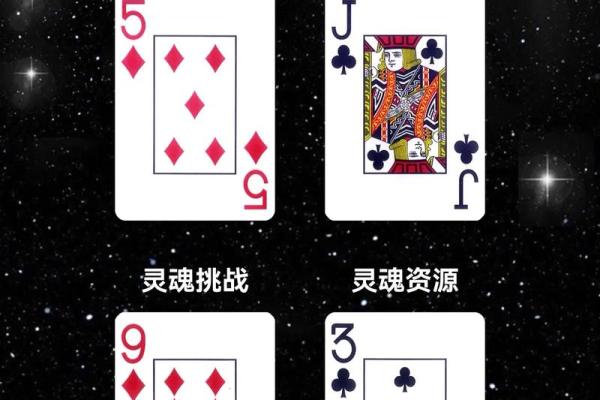 1995年2月23日出生的命运与性格解析