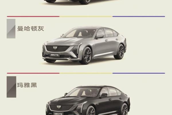 兔年运势与冲煞：颜色选择助你好运连连