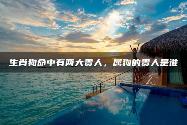 1982属狗：水命的性格与命运探索
