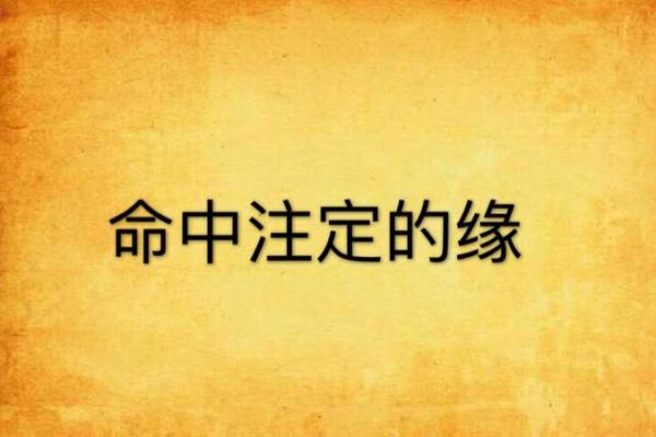命中注定的书本缘分：为何有的人似乎与读书无缘？