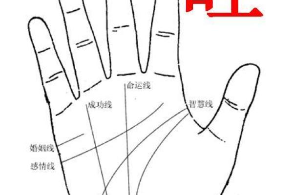 2023年22岁人的命格分析：揭示你的内在潜能与命运之路