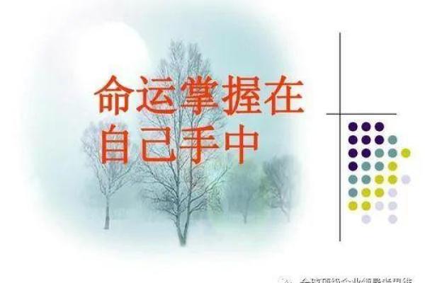 命理与人生：当命运的硬度遇上生活的柔情