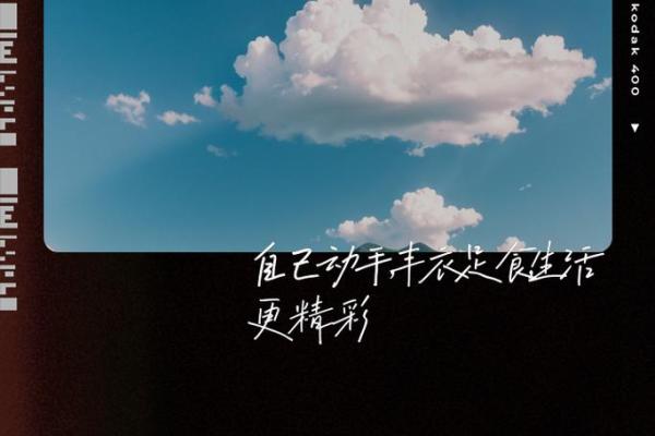 命很好是种什么体验：探寻生活的美好与幸福的真谛