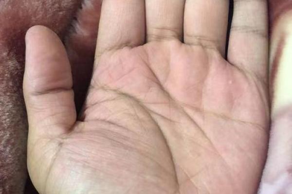 探秘手掌纹路：揭示人生命运的密码