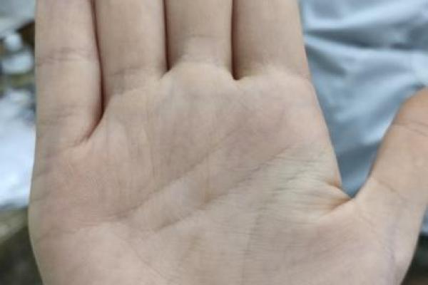 探秘手掌纹路：揭示人生命运的密码