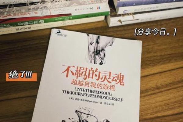 为什么女性没有公主命：打破神话的一场自我觉醒