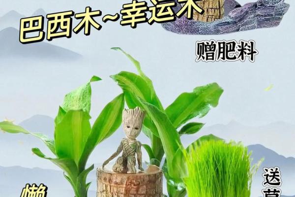 木命人适合种植的五种植物推荐，助你提升运势！