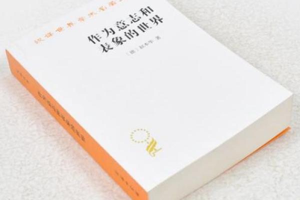 85岁属相与命运：探索人生的智慧与启示