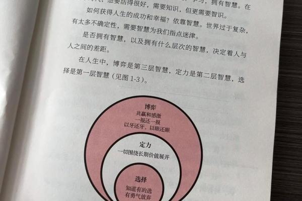 属鸡人的命理特点与人生智慧探讨