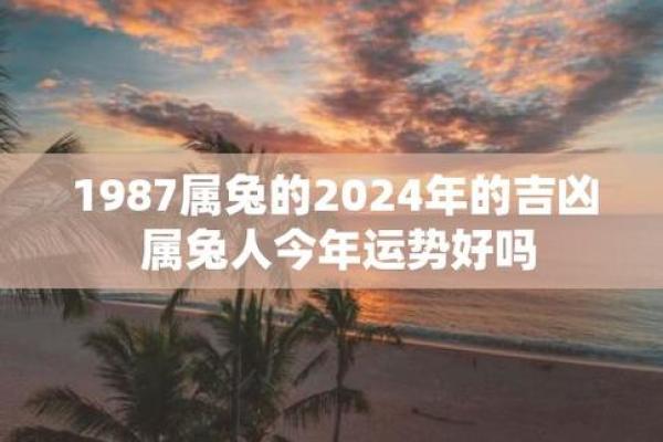 2011年兔年命运解析：兔年出生者的性格与运势揭秘