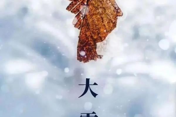 探索1981冬月十四的命理奥秘，揭开你的性格与未来