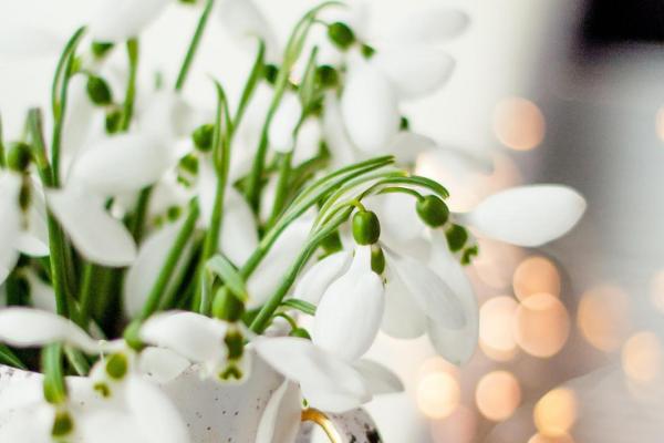 金命人必备饰品推荐，提升运势与魅力的秘密武器！