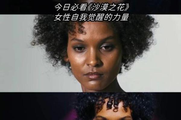 1980年猴女的命运解析：智慧与机遇交织的人生旅程