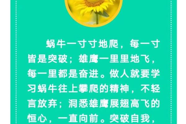 女人惜命的智慧：生命的真谛与价值探讨