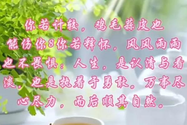 女人惜命的智慧：生命的真谛与价值探讨