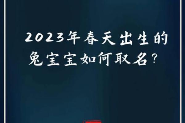 解析2023年出生宝宝的命运与性格特征：小兔宝宝的生活指南