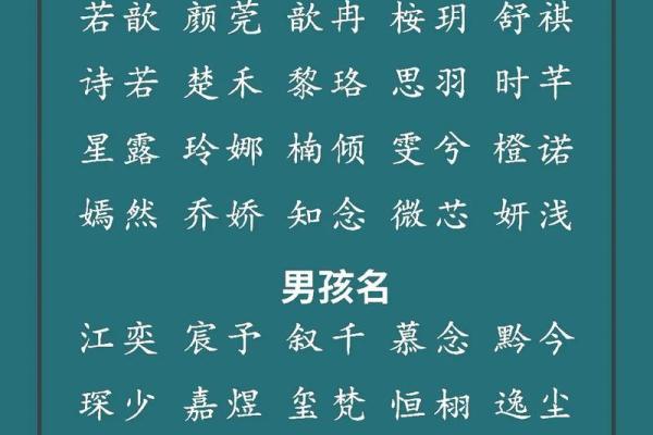 解析2023年出生宝宝的命运与性格特征：小兔宝宝的生活指南