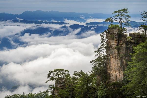 揭秘一九九八属虎命格女性的独特魅力与人生旅程
