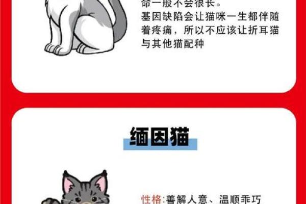 1998年出生的命运解析：他们的未来与潜力