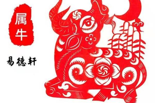 深入解析：2019年属牛人的命运与运势趋势