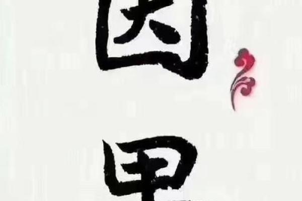 1972年属牛人的命理解析：探索他们的财富与人生之路