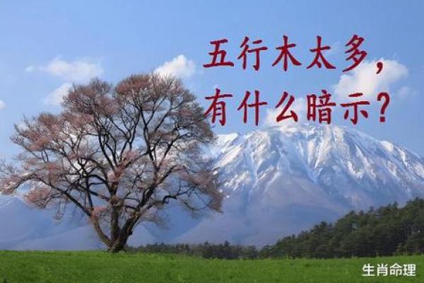 生肖木命的商机：适合的生意方向与建议
