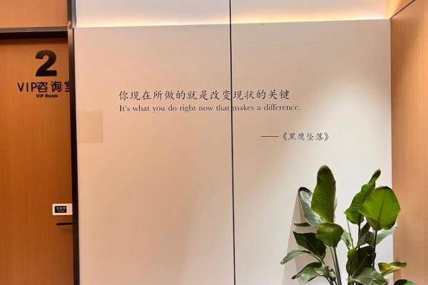 海中金命的颜色搭配：寻找心灵平衡的秘密之旅