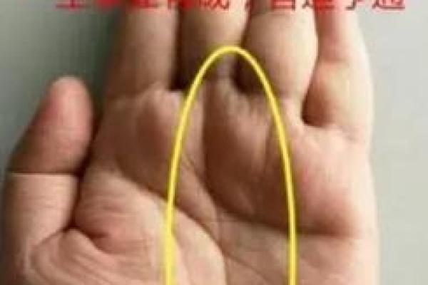 1969年属相揭秘：哪些命格最富贵？探寻生命的奥秘！