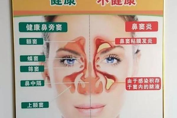 有鼻炎的人命运解析：如何适应生活与环境变化