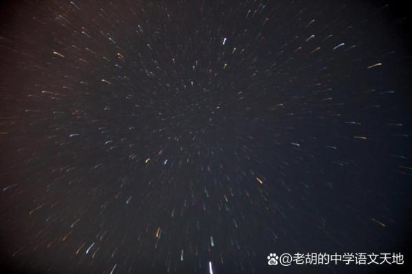 2008戊子年：命运之星下的轮回与智慧