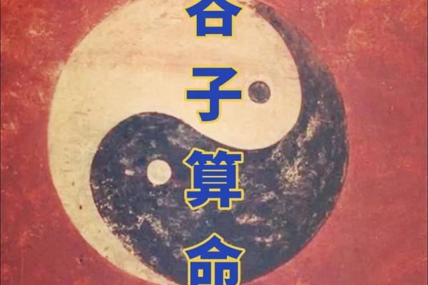 甲戌乙亥丙寅命理解析：探寻命理背后的智慧与人生