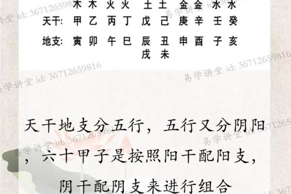 甲戌乙亥丙寅命理解析：探寻命理背后的智慧与人生