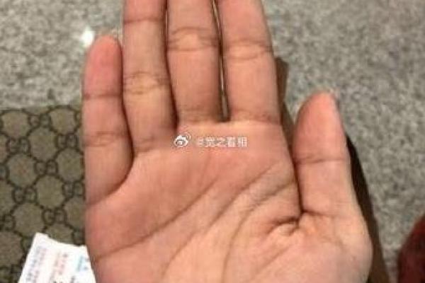 探究白蜡金命：禁忌颜色与提升运势的智慧