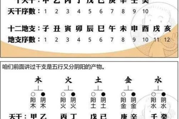 揭秘1970年男命：天干地支与卦象深度解析