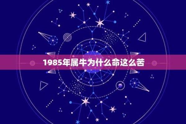 1981年出生的属牛命解析及生活指导