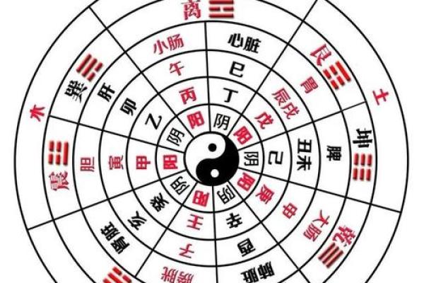 揭秘1970年男命：天干地支与卦象深度解析