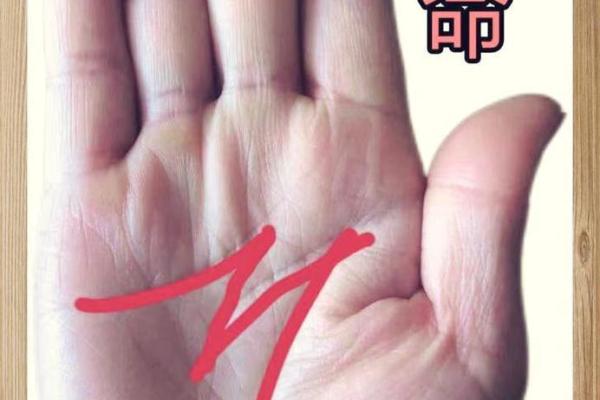 小富贵命手相解析：揭示你命运的秘密与机遇