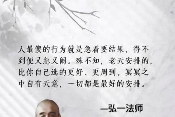 揭秘各年命运之谜：你属于哪个年份的命？
