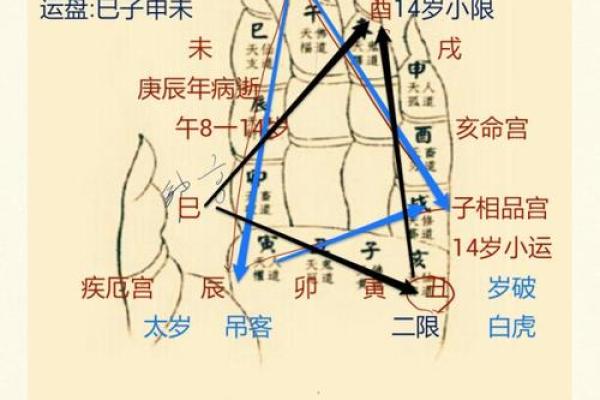酉时出生男孩的命运解析：揭开天命的神秘面纱