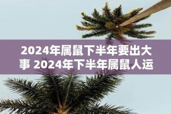 72年属鼠之人：木命的运势与人生启示