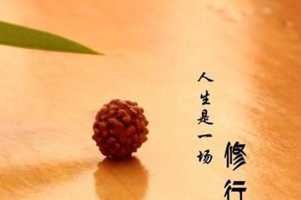 童子命修炼之道：揭秘适合童子命的修行功法