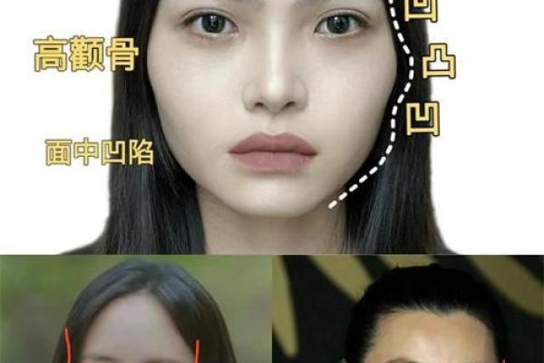 通过脸型解析命运：不同面相揭示的人生轨迹与职业选择