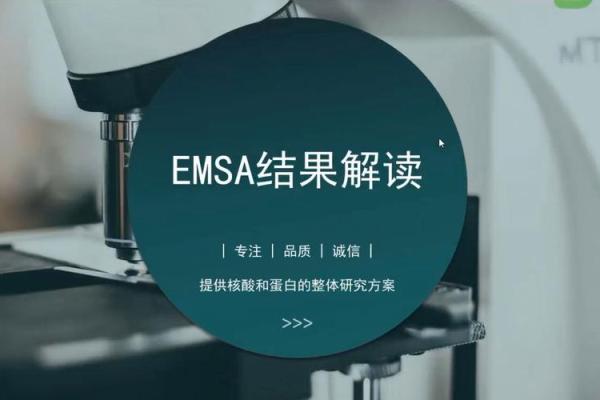 探索自我命运的奥秘，从心理到命理的深度解读