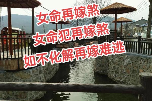 1936年属鼠的命运解析：智慧与机遇的结合之路