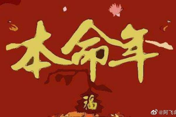 2020鼠年：揭秘五行命理与生活中的启示